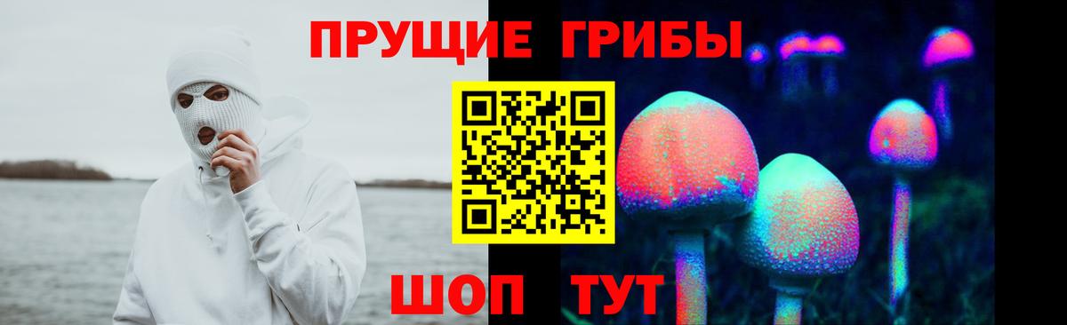 Галлюциногенные грибы Psilocybe  Вход с VPN  Луга 